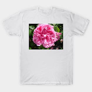 Rose Flower Pink T-Shirt